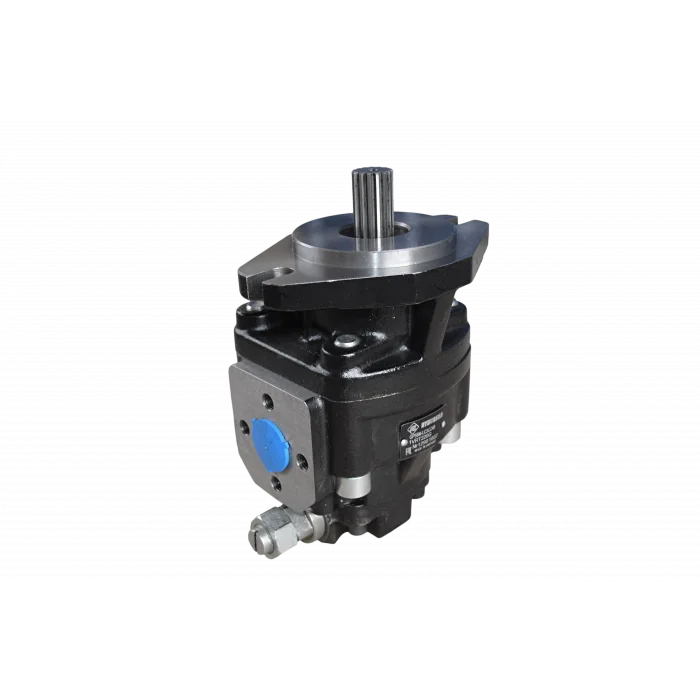 Шестеренний насос GP 56 M-LC3CC4B1VRT220  